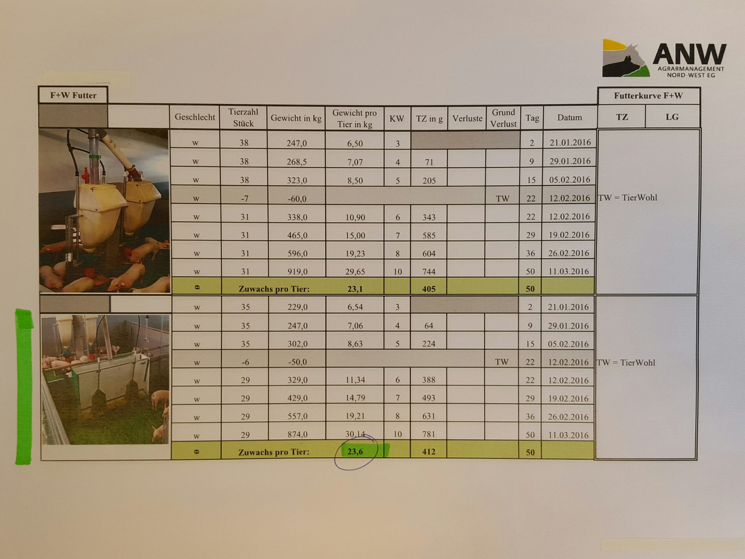 Test results for Drowaco piglets
