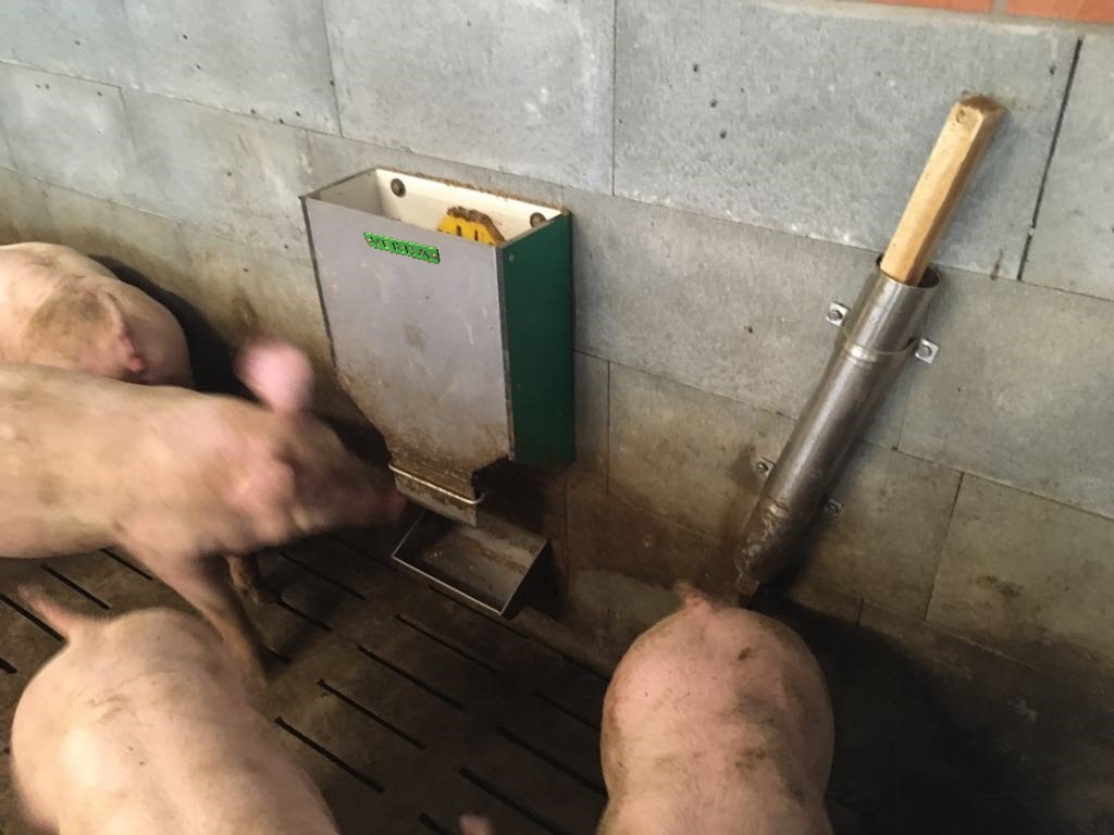 dosing unit for straw pellets for piglets and fattening pigs